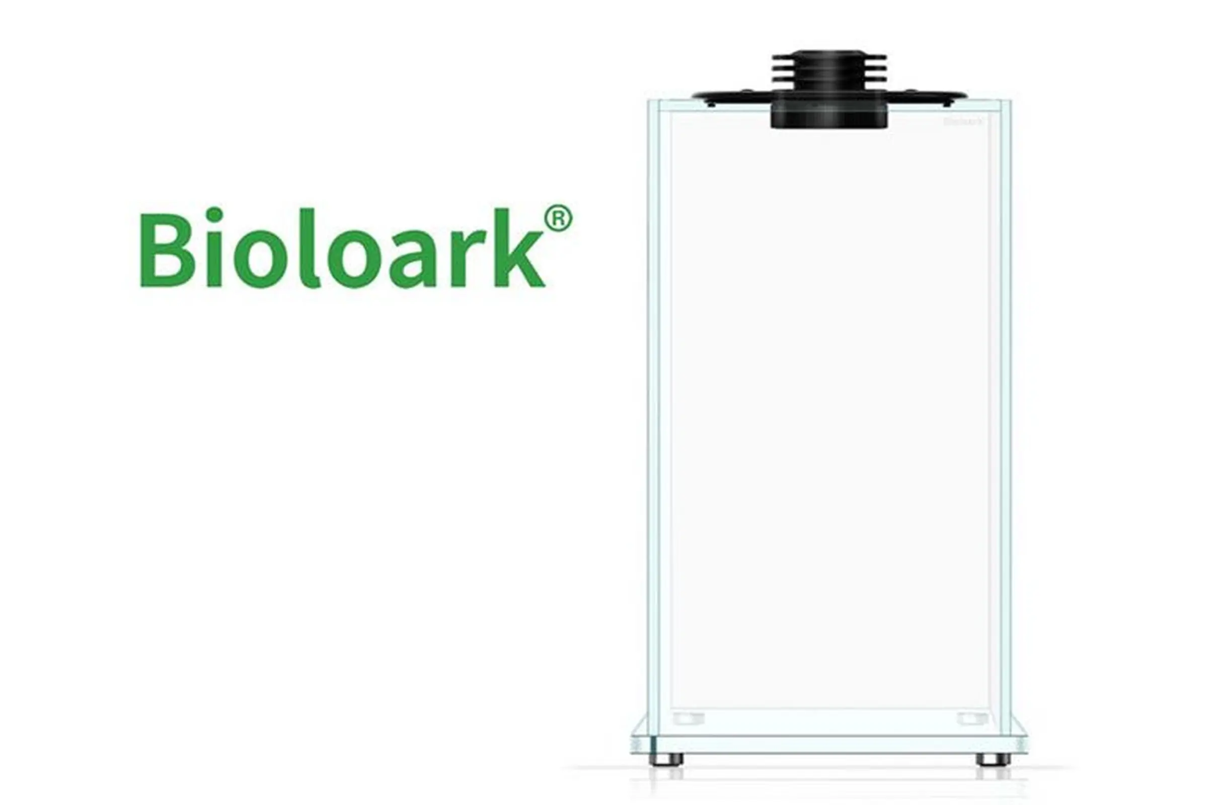 Bioloark Bio Bottle FD200 Wabi-Kusa / biosphère, verre blanc