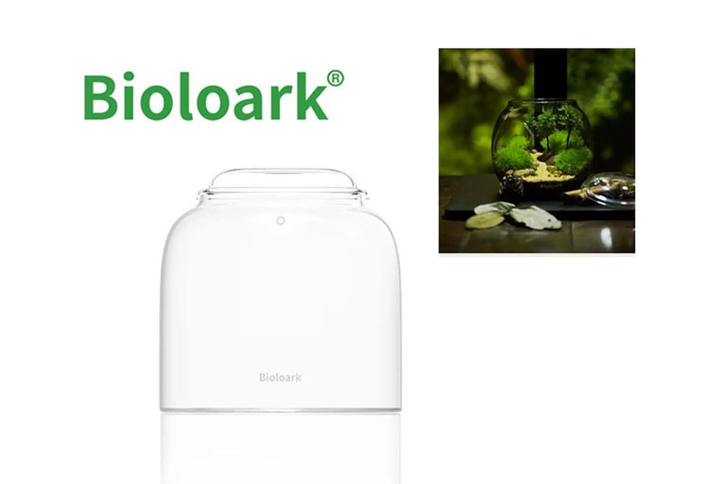 Bioloark Bubble Cup ONE, verre Wabi-Kusa