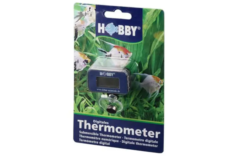 Thermomètre numérique Hobby, pile incluse