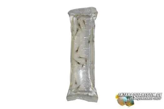 Nourriture vivante Mini-crevettes nourricières en sachet portion, 180 ml