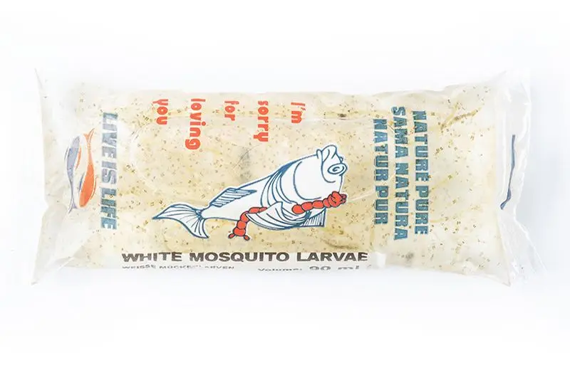 Nourriture vivante larves blanches de moustiques en sachet portion, 90 ml