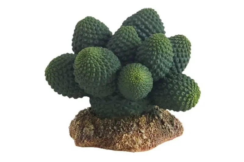 Hobby Cactus Atacama, plante artificielle