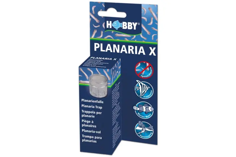 Hobby Planaria X, piège à planaires