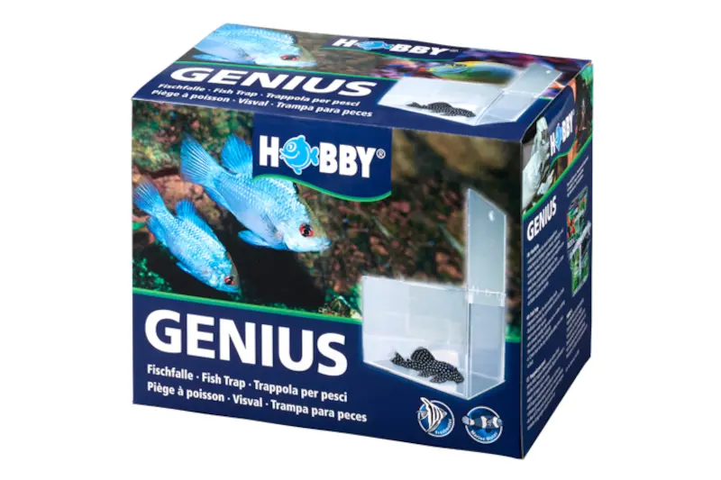 Piège à poissons Hobby Genius, 21 x 13 x 15 cm