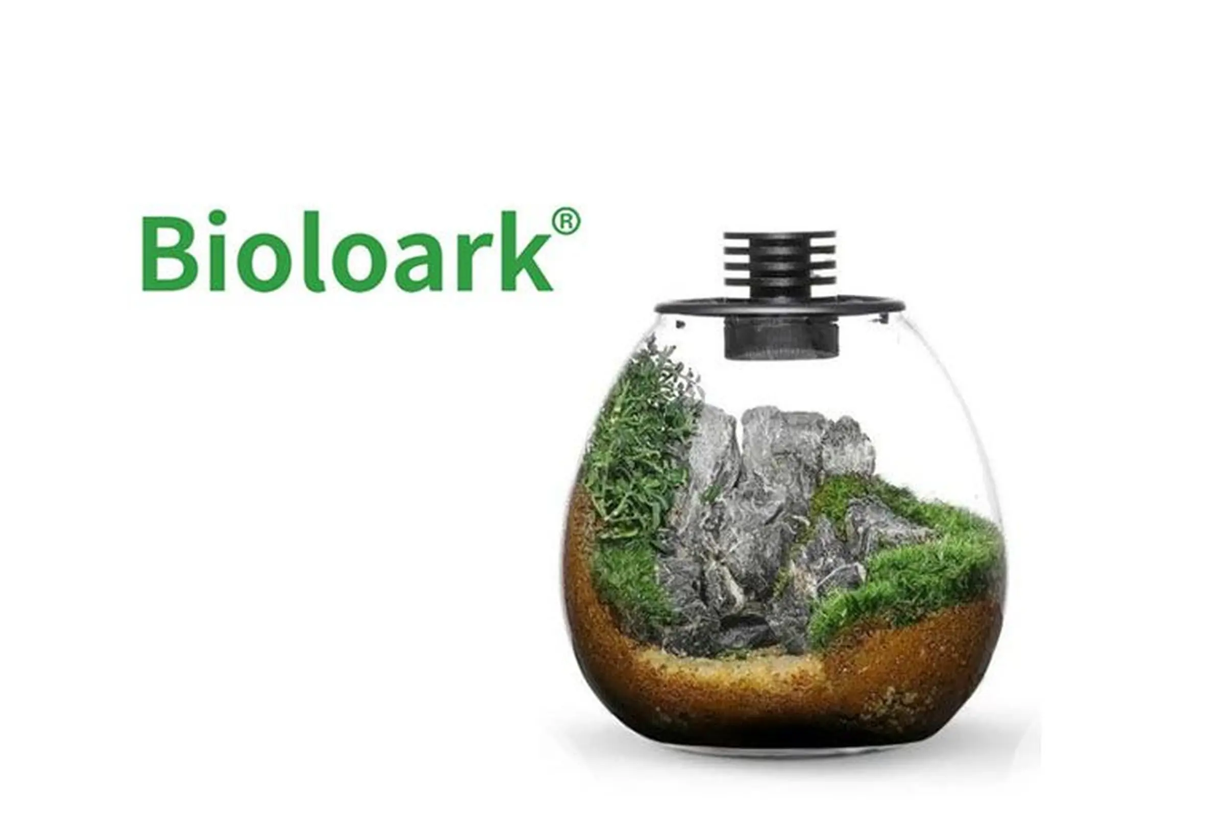 Bioloark Bio Bottle PD170 Wabi-Kusa / biosphère, vase boule