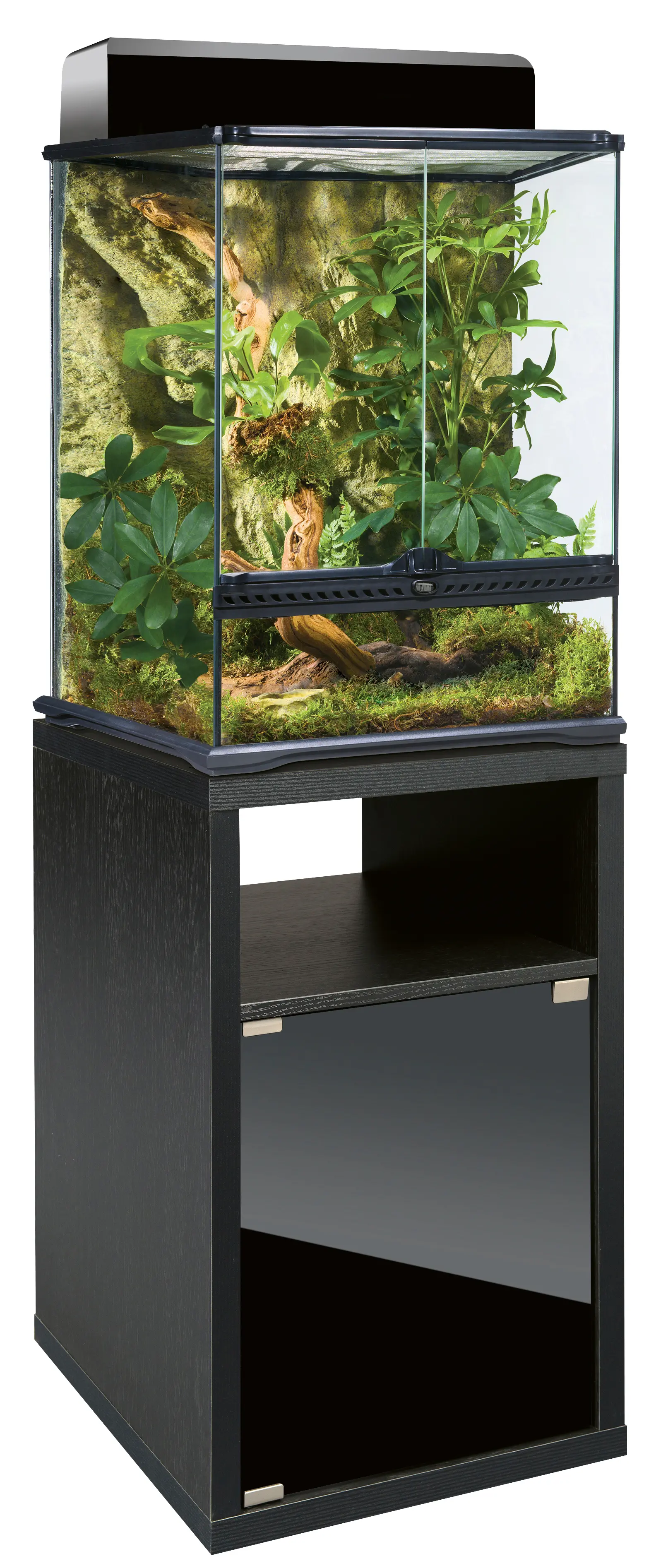 Combinaison de terrarium Exo Terra 45x45x60 cm