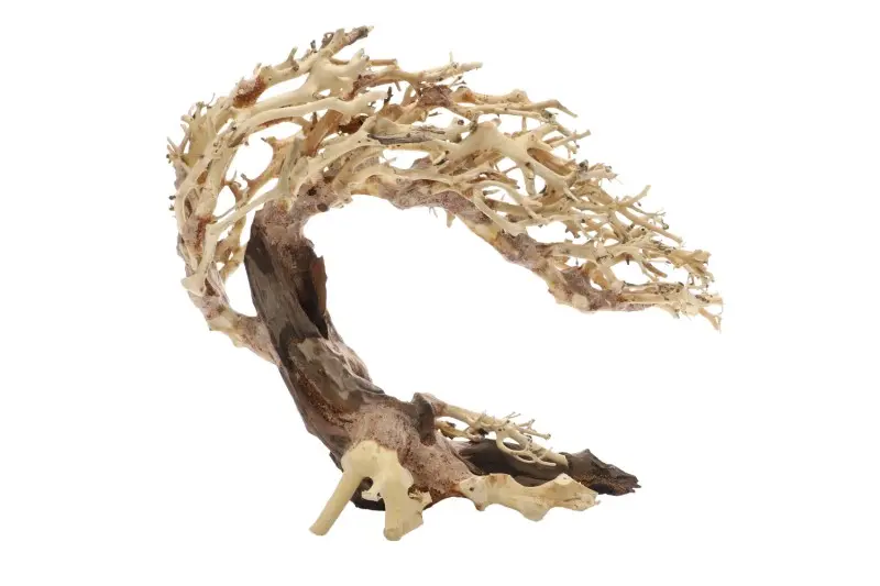 Dupla Crooked Root M, décoration d’aquarium faite à la main
