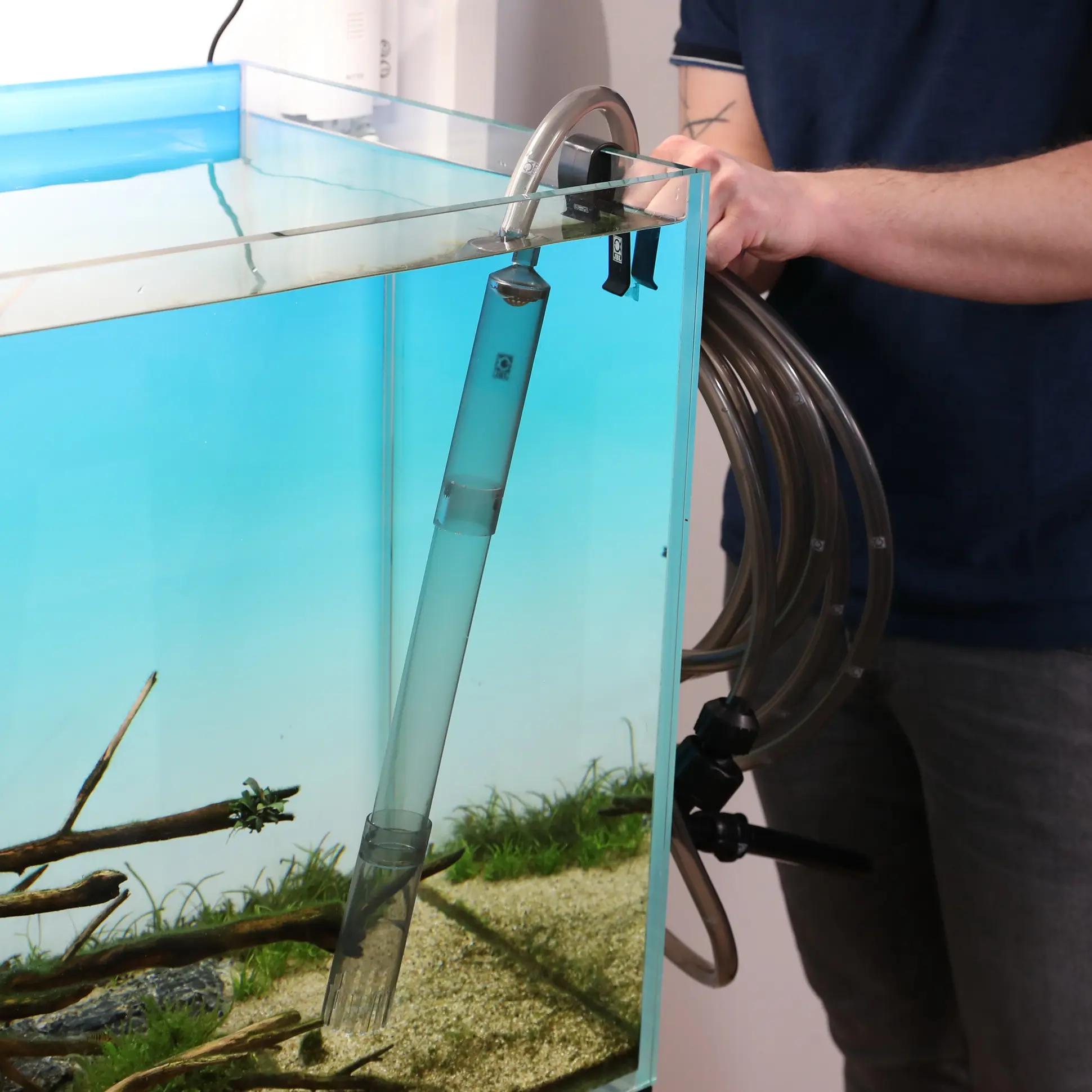 Person reinigt Aquarium mit Kies- und Mulmsauger