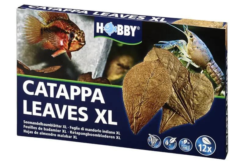 Hobby Catappa Leaves XL, feuilles de catappa, 12 pcs