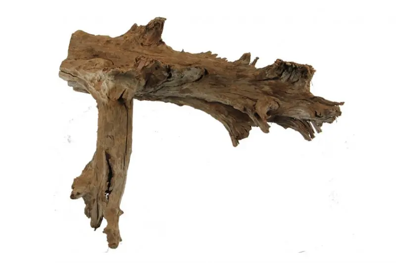Hobby bois de mangrove XL, 50-70 cm