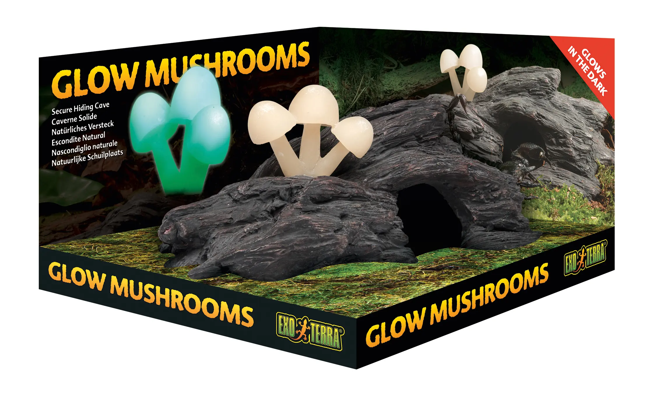 Grotte Exo Terra avec champignons lumineux – article déréférencé 