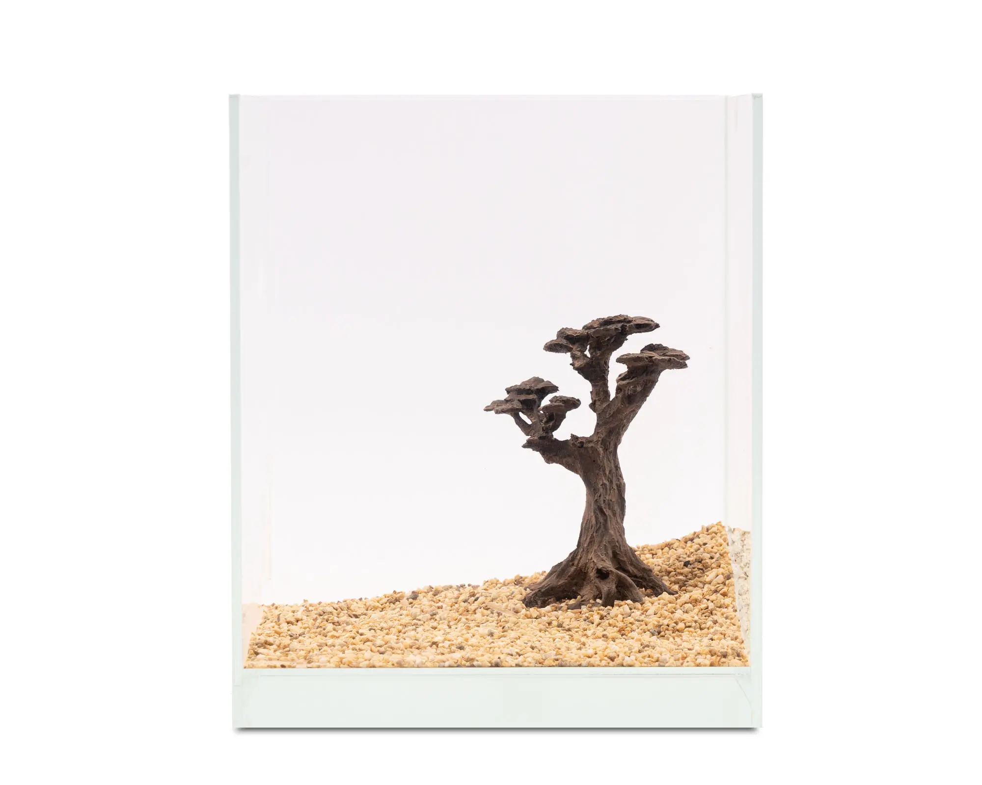 Aquariumdeko: Bonsai-Wurzel auf Kies im Glasbecken