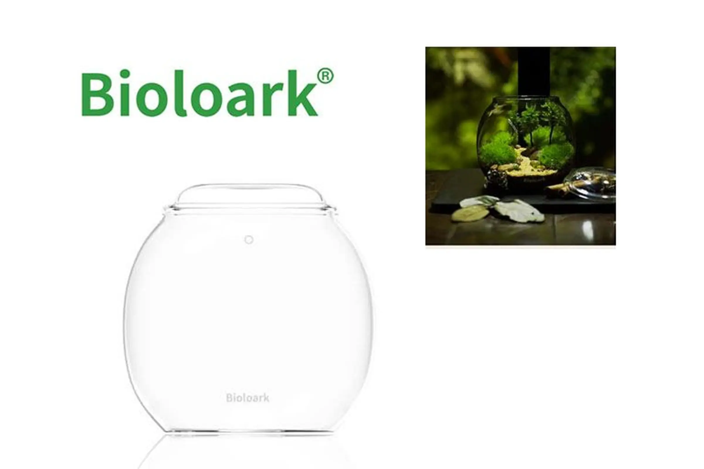 Bioloark Bubble Cup THREE, verre Wabi-Kusa