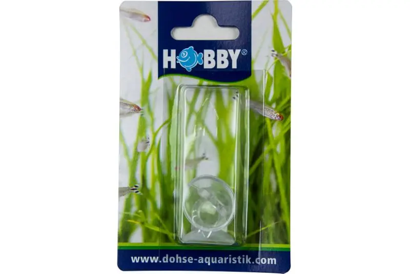 Ventouses Hobby pour thermomètre avec trou, 2 pièces