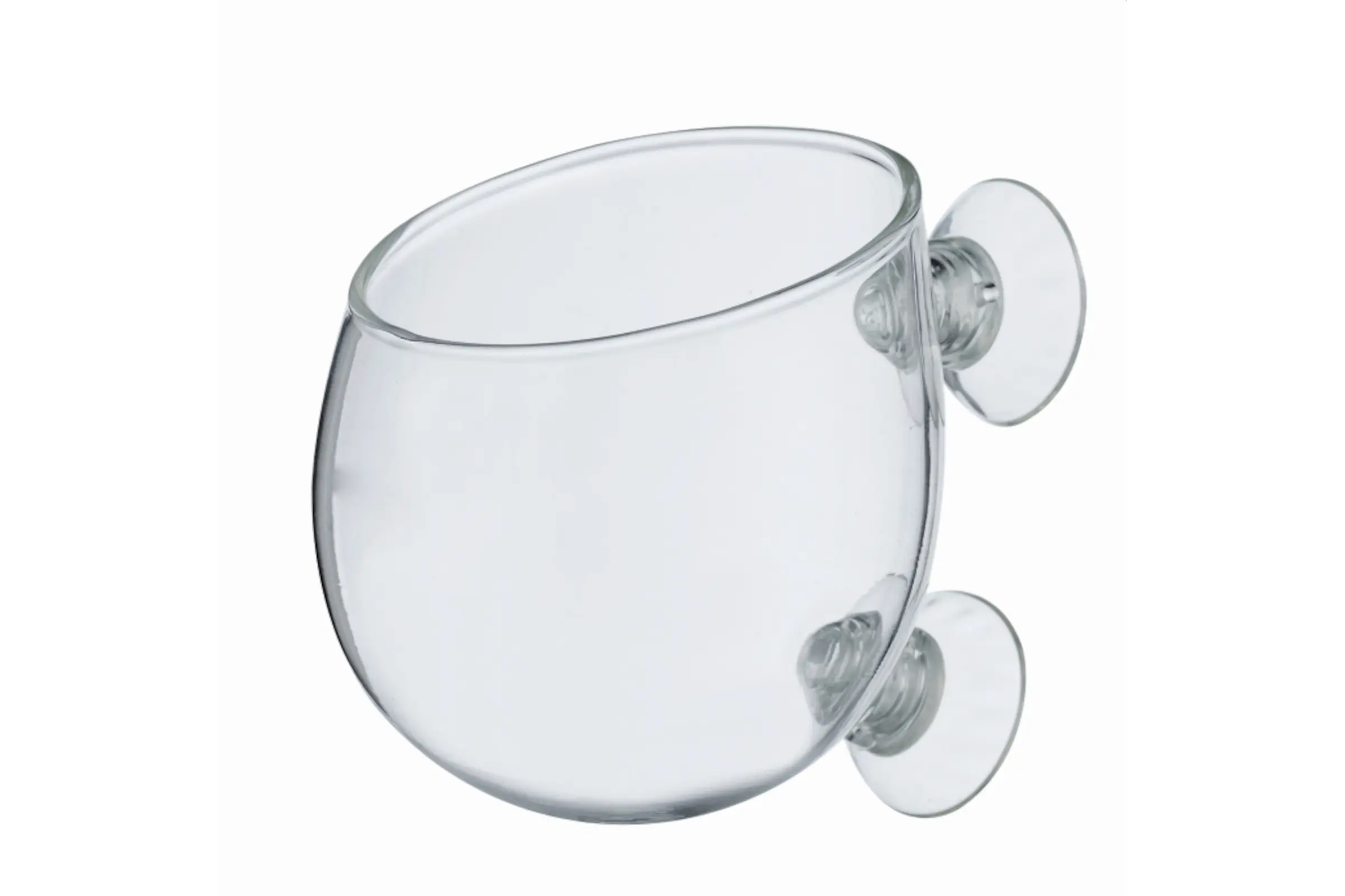 Vase en verre Chihiros pour plantes, pot de plantation en verre