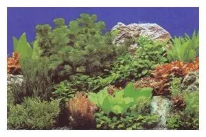 Découpe de fond photo Hobby Plantes 8/Marin Blue, 50 x 120 cm