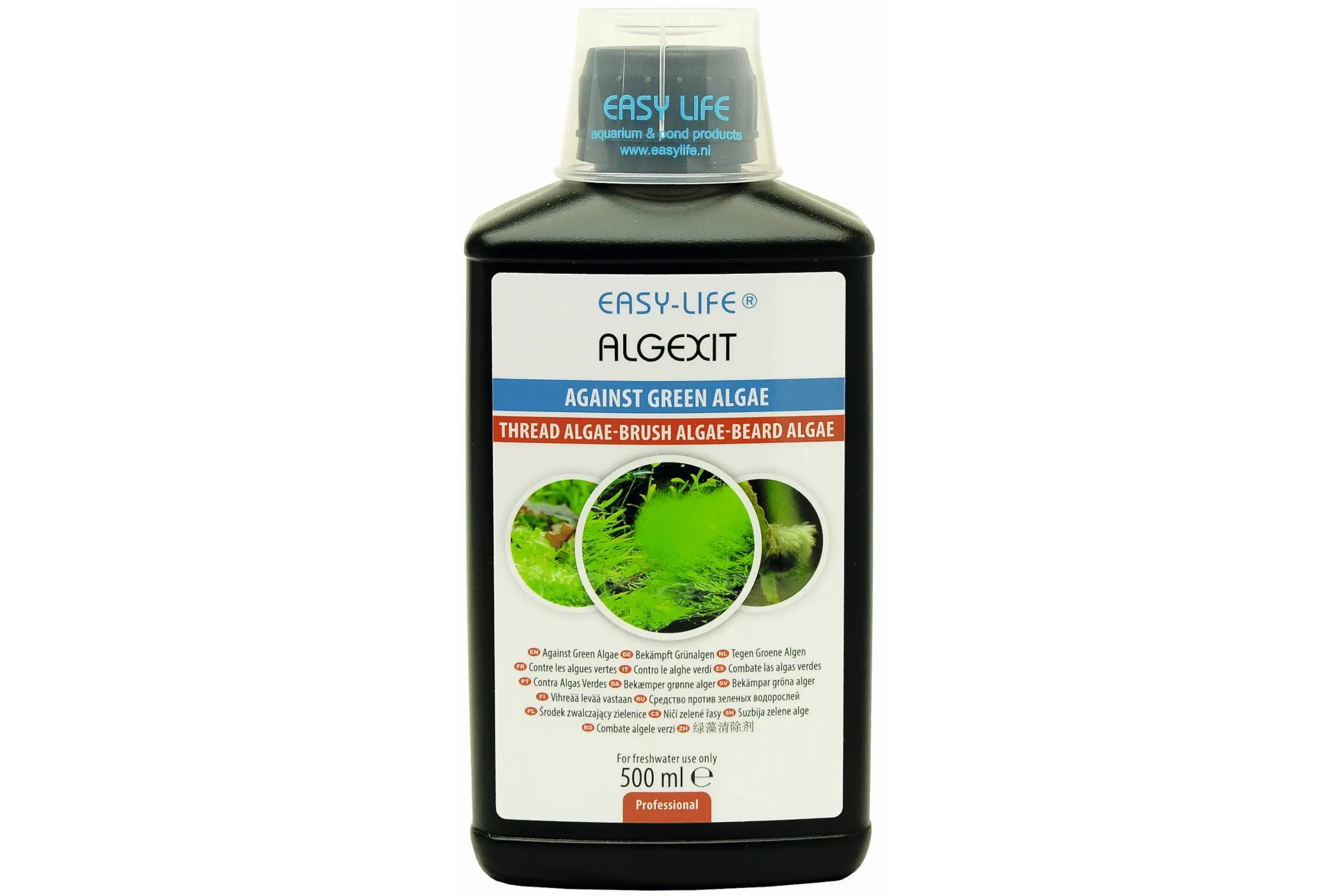 Easy-Life AlgExit