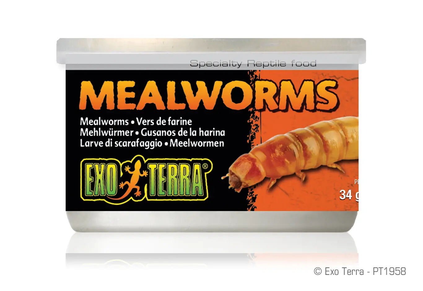 Exo Terra Vers de farine 34 g