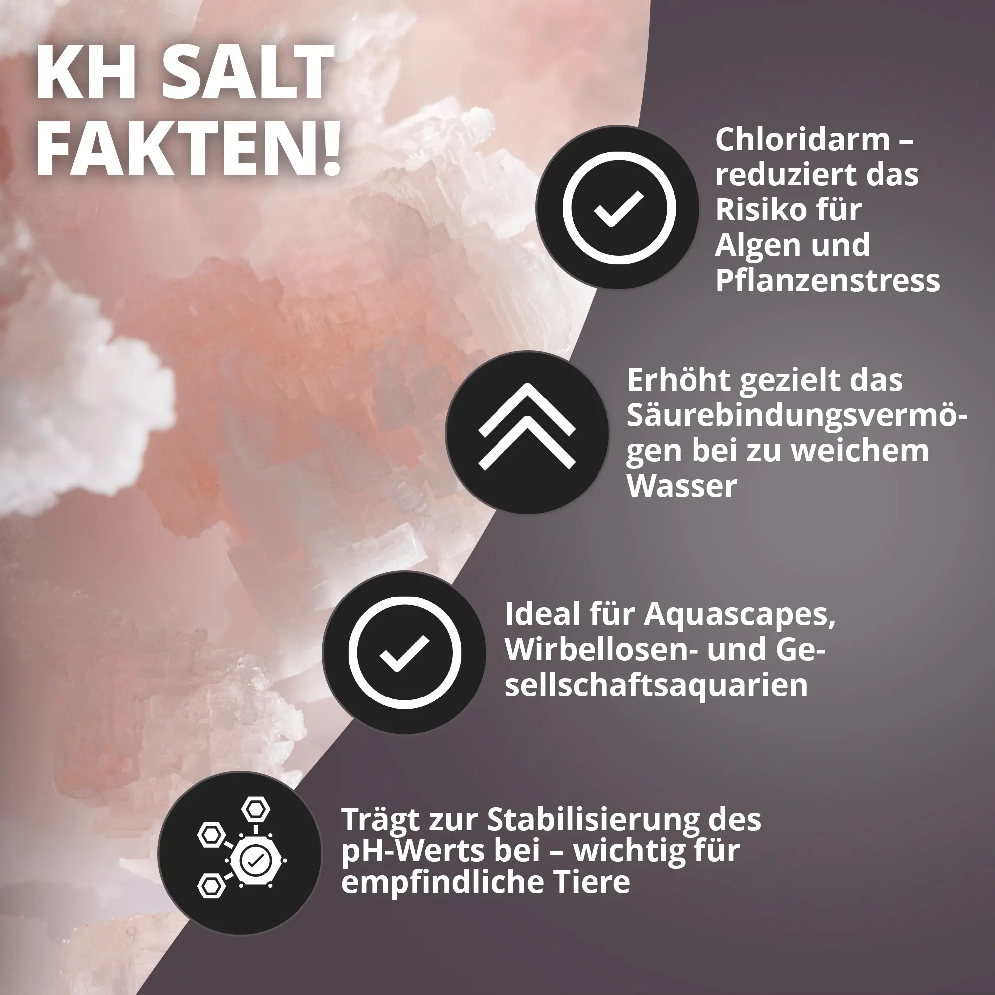 Aquariensalz KH Salt vor rosa Kristallen, Icons mit Vorteile