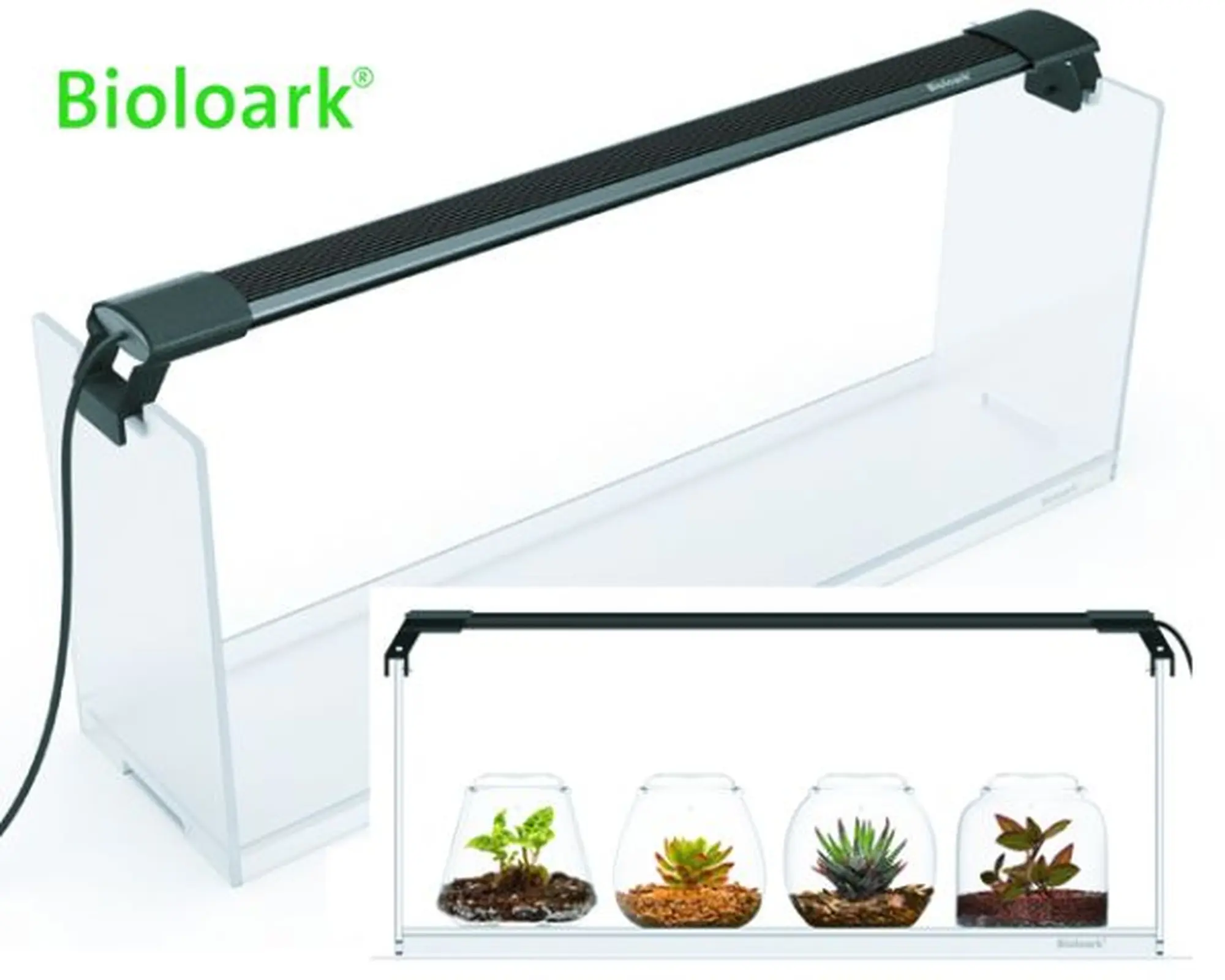 Set Wabi-Kusa Bioloark, Coffret cadeau LH-02